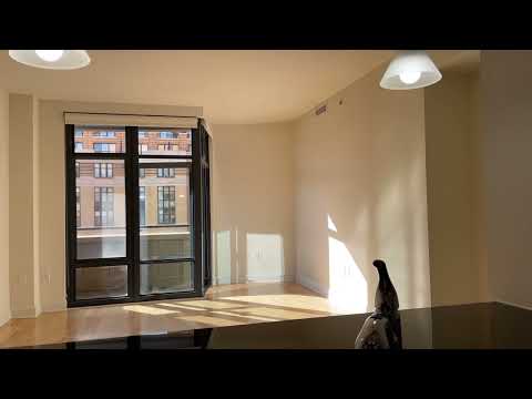 425 Mass Apartments - Mt Vernon Triangle - Unit 403 - Unit 401 - 1003