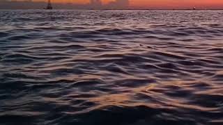 Download lagu STORY WA SHOLAWAT TARHIM // sebelum adzan Maghrib mp3