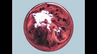 Milky Chance - Piano Song (HQ)