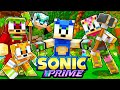 SONIC PRIME Thorn Rose Battle Minecraft Sonic The Hedgehog 3 91