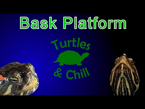 Korytnačka červenoocha (Trachemys scripta elegans) — vyhrievacia plošina