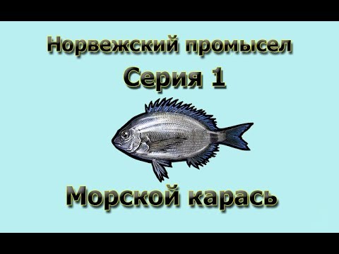Русская Рыбалка 3.99 (Russian Fishing) Норвежский промысел 1 - Карась морской