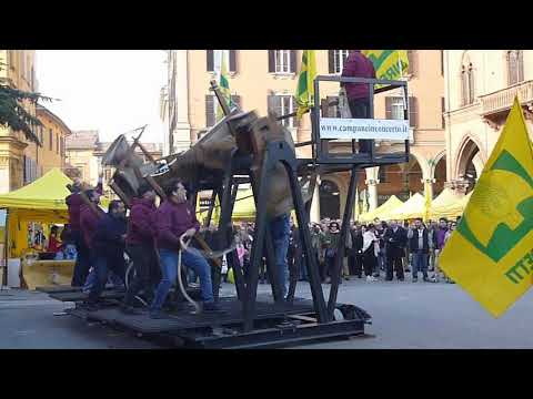 "Campane in Concerto" (35) 11/11/2018