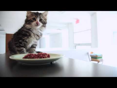 Empowered Health SE02 EP24 - Personal Story