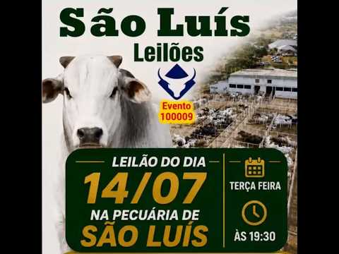 São Luís de Montes Belos - GO   14/07/2026
