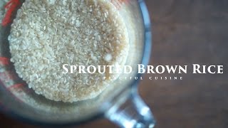 Sprouted Brown Rice ☆ 発芽玄米の作り方