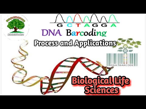 Barcoding vs DNA Barcoding: Unpacking the Differences | Vibepedia