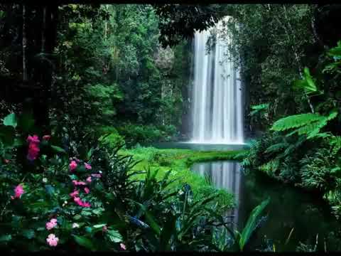 Fakalotu - matavai mo'ui