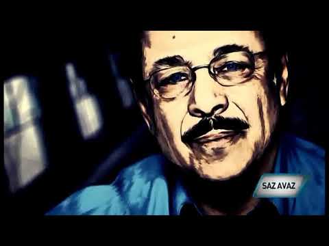 Nazlı Öksüz & Perişan hallerim ( gitme ) #shortvideo #shorts