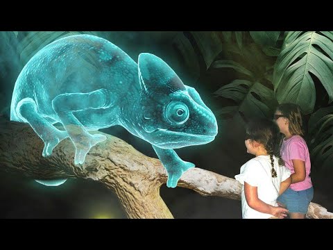 توريد وتصميم كاافة انواع هولوجرام مسرحى وتنفيذ جميع الحفلات توريد وتصميم كاافة انواع هولوجرام مسرحى وتنفيذ جميع الحفلات