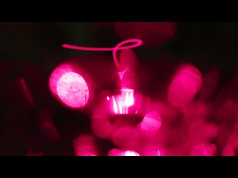 Mungo's Hi Fi x Pupajim - Past and Present