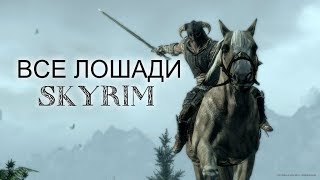 ВСЕ ЛОШАДИ ИГРЫ Skyrim
