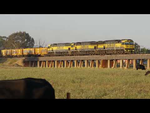 3MW7 QL008/QL011/QL003 Wagga Wagga Tuesday 22/3/2022