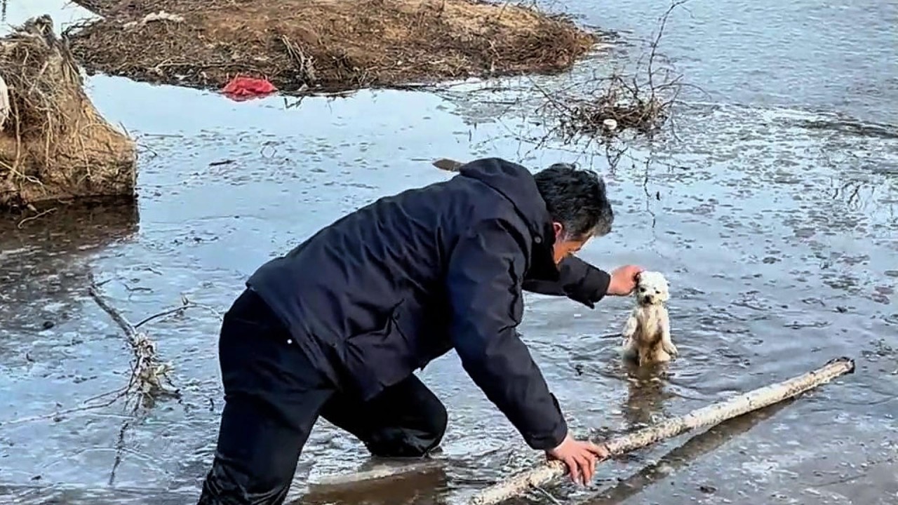 -15°C, he fell into a freezing ice hole, dying, desperately calling for help