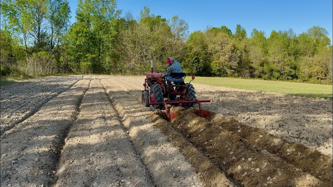 First Time Using A Furrow Plow To Bed Rows!