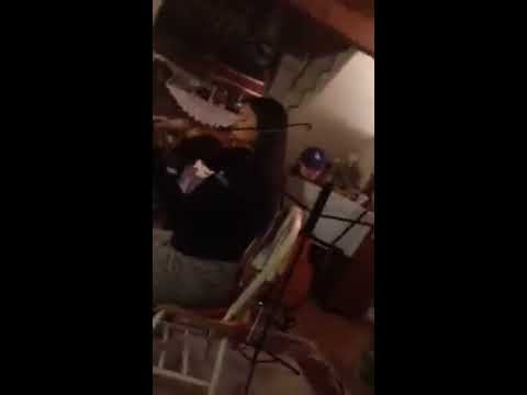 1st Symphony Theme Brahms violin & cello