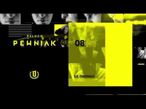 Paluch - "Się Zmieniło" (OFFICIAL AUDIO 2009)
