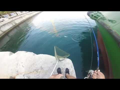 Shore jigging Dubrovnik rijeka Ombla