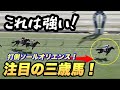 打倒ソールオリエンス！いざダービーへ、まだまだいるぞ強い三歳馬！【競馬】