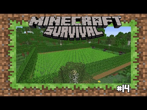 MEGA FARM DI CANNE DA ZUCCHERO - ep 14 - Blaze Survival - Minecraft 1.16.4