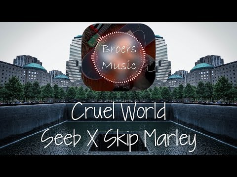 🎧 CRUEL WORLD - SEEB x SKIP MARLEY [Broers Music]