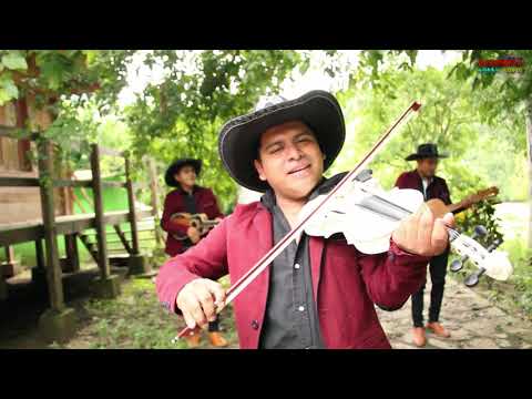 Alterados De La Sierra -  Cicatrices