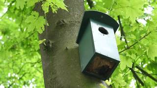 Landal De Vlinderhoeve - Lochem - Image N°2