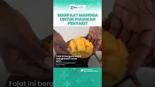 Kaya akan Manfaat, Konsumsi Buah Mangga Bagus untuk Kesehatan, Termasuk Mencegah Radikal Bebas