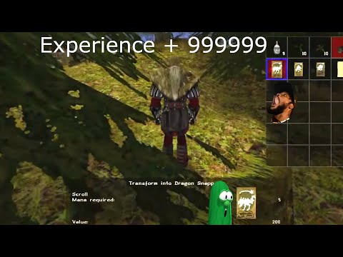Gothic II Gold: how to get easy EXP at the start