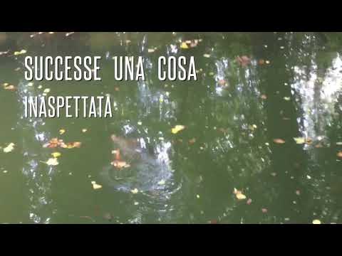 Cattura inaspettata🎣