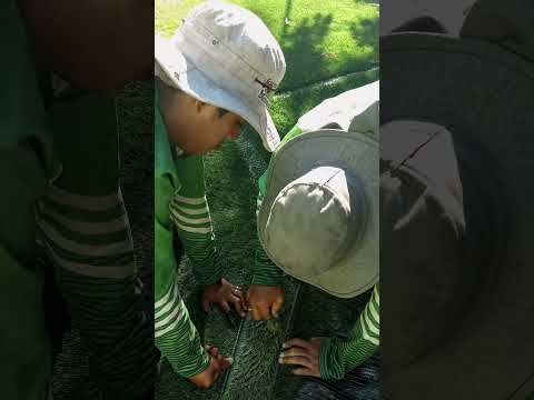 ⚽¡Proyecto listo para disfrutar!👏 San Pedro Puxtla, Ahuachapán, El Salvador #canchas #gramasintetica