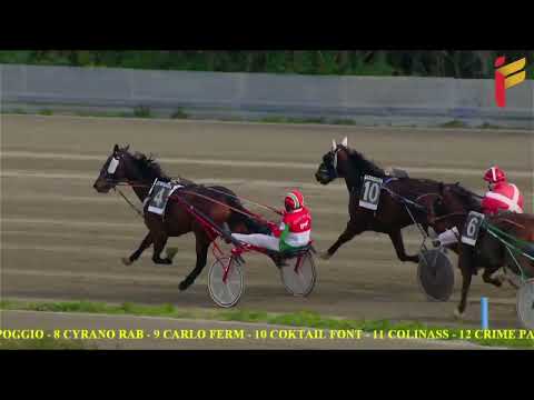 III Corsa del 16 Marzo 2022 - 4 Anni - Metri 1600