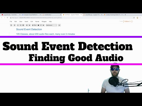 Sound Event Detection - FL Bird Model Methodology Overview
