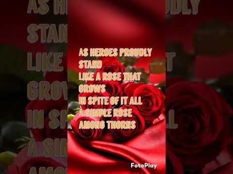 Ennio Morricone & Dulce Pontes - A Rose Among Thorns (Lyrics)