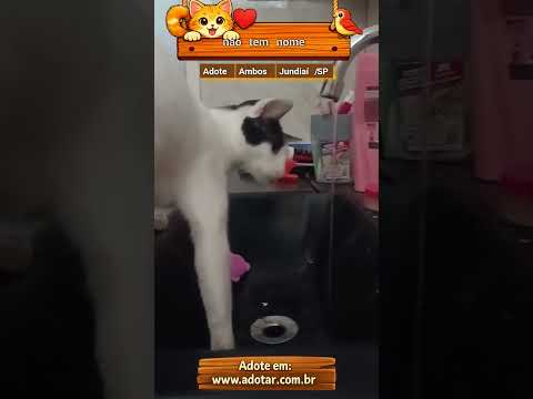 Vídeo de nao tem nome