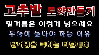 [텃밭농부. 1,397]  고추밭 터널재배를 위한 밑거름 넣고 두둑 만들기 #고추재배
