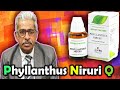 Golden Homeopathy Remedy Phyllanthus Niruri Q Dr P S Tiwari