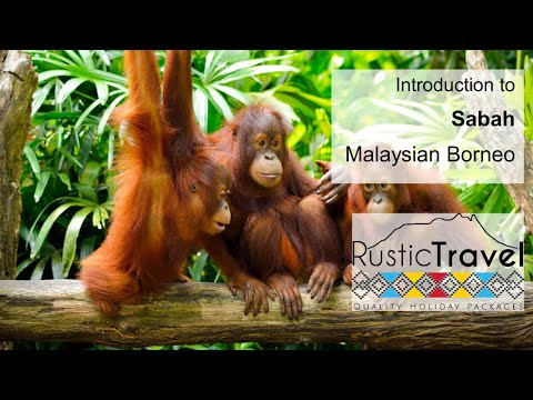 Introduction to Sabah, Malaysian Borneo - Rustic Travel
