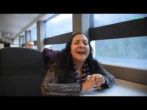 Milford Sound , New Zealand