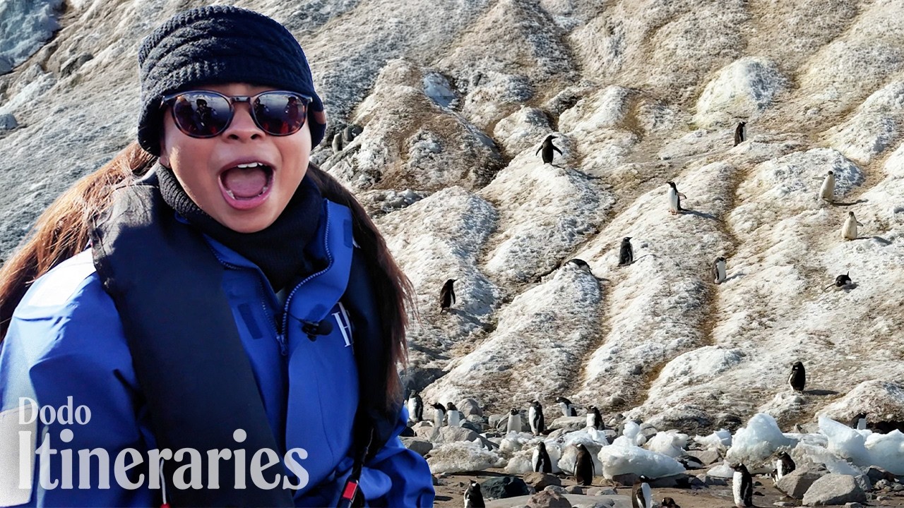 Dozens of Whales Surrounded Our Ship in Antarctica | Dodo Itineraries