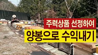 양봉(벌꿀)으로 수익 창출하기, 봄벌깨우기 시기, 주력상품 선정, 상품판매