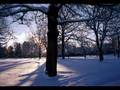 Antonio Vivaldi.Four seasons.Winter. 