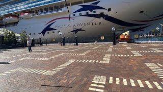 #Pacificadventure  Balcony State Room tour 10 230 ￼
