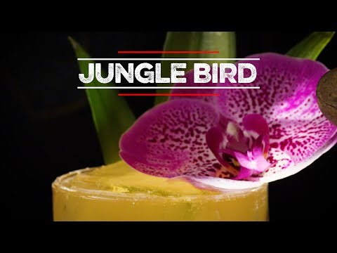 Jungle Bird | How to Drink