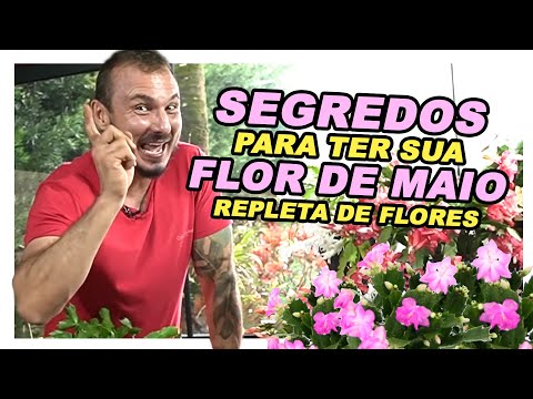 , title : 'Segredos para ter sua FLOR DE MAIO repleta de flores'