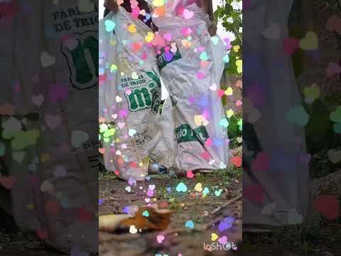 comente quem ganhou  😂😂  no momento  estamos em Quipapá  Pe 🫶🙌
