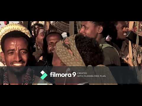 new tigrigna music 2021 50 tsegemat by tamrat amare #tmh#tigrignamusic#ethiopianmusic #habesha