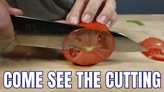 2024 BEST BUDGET KIRITSUKE CHEF KNIFE UNDER $70 KANNGOU FULL KNIFE REVIEW