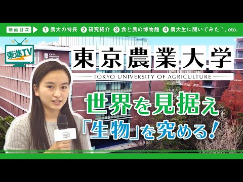 コンピュータ理工学科 【東京農業大学】東京近郊の大学で最先端の研究を深める!! | 人類の生きるを支える学びとは!?