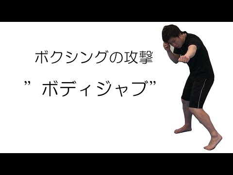 ボクシングの攻撃、ボディジャブの打ち方、コツを説明。大阪のソアーボクシング。